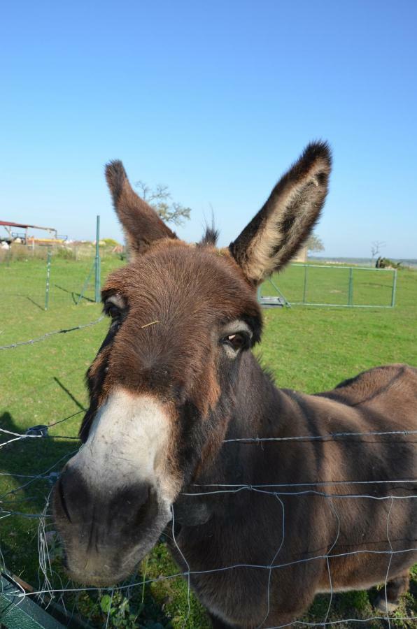 Gite Brin De Campagne Vaucremont Esterno foto