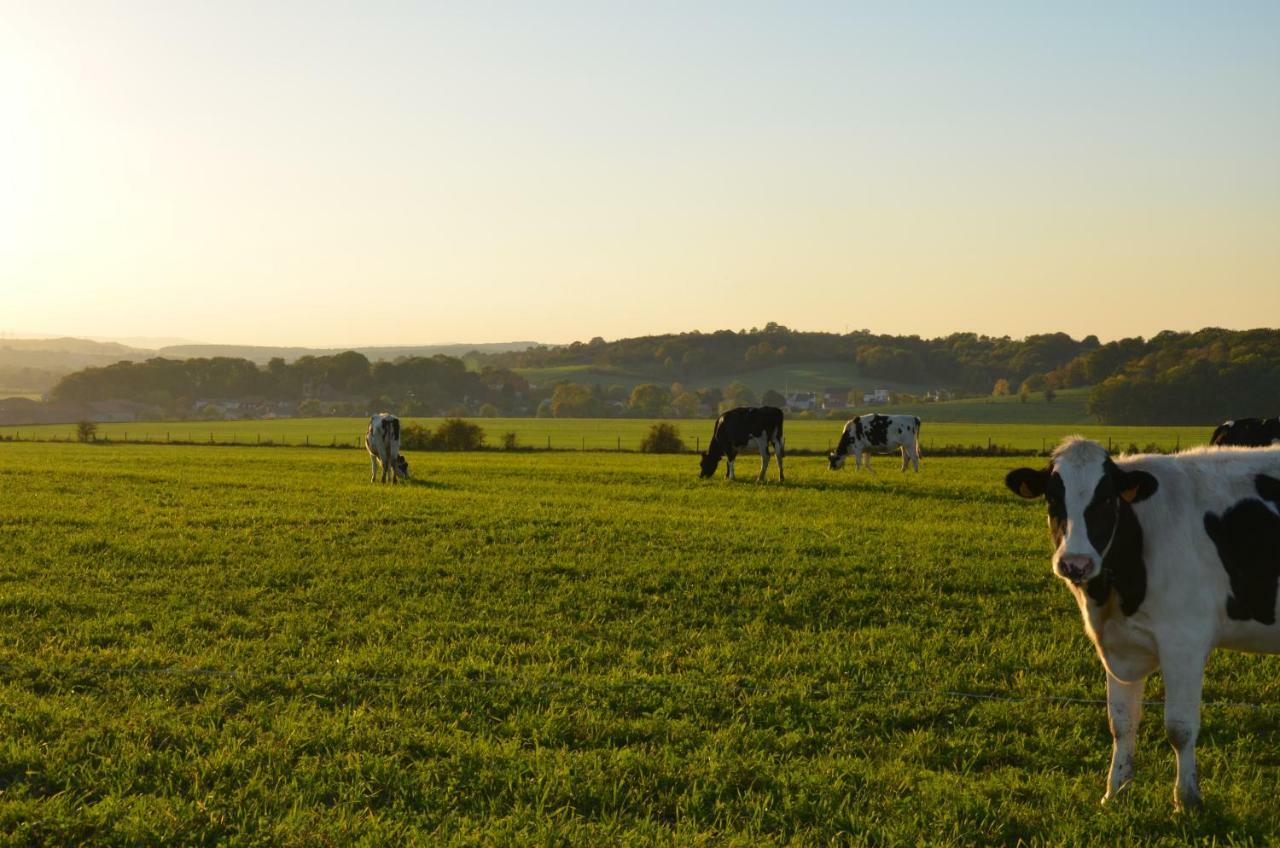 Gite Brin De Campagne Vaucremont Esterno foto